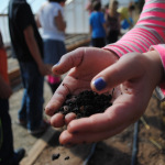 Bringing finished worm castings to the garden!