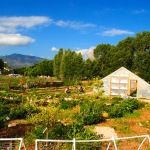 The Salida School Gardens