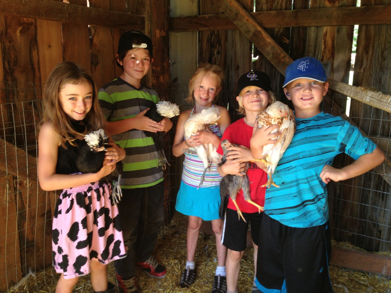Farmhands meet the chickens at Moonstone Farm.