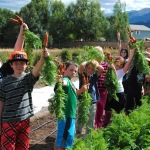 Longfellow Elementary students harvest carrots that will go in their school lunches.