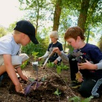 Farmhands planting Kale at the Morgan Center