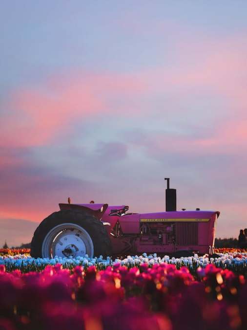 Farmhands Reflections and Promise of New Year