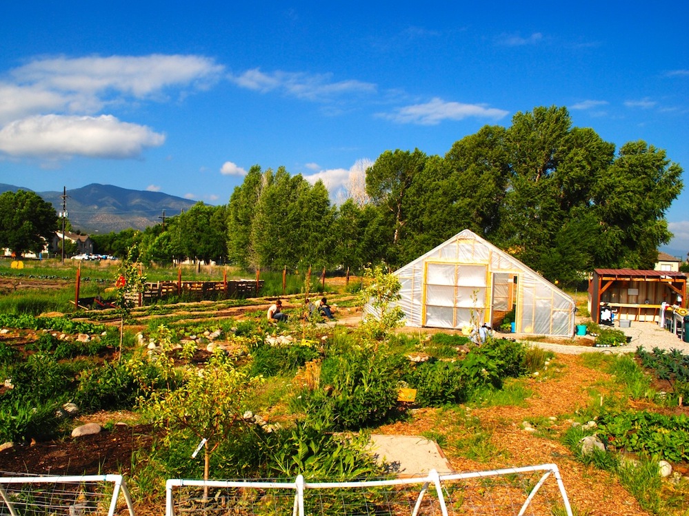Farm to School Garden