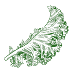 Guidestone Colorado agriculture Turnip