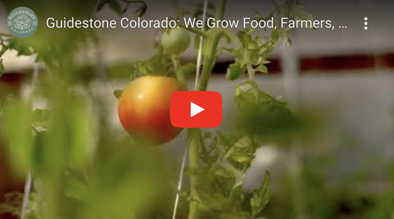 guidestone media center