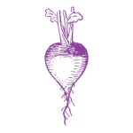 Guidestone Colorado agriculture Turnip