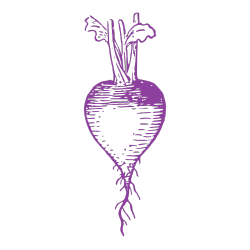 Guidestone Colorado agriculture Turnip