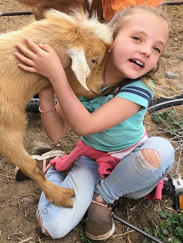 Guidestone Farmhands
