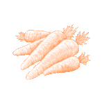 animated carrots