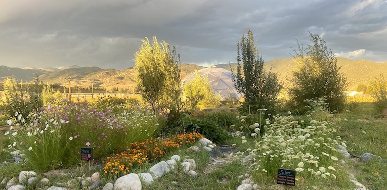 Community School and Garden