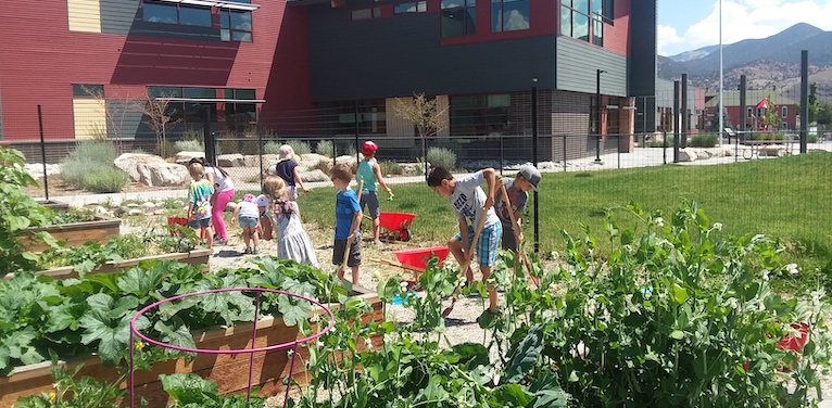 School Garden 